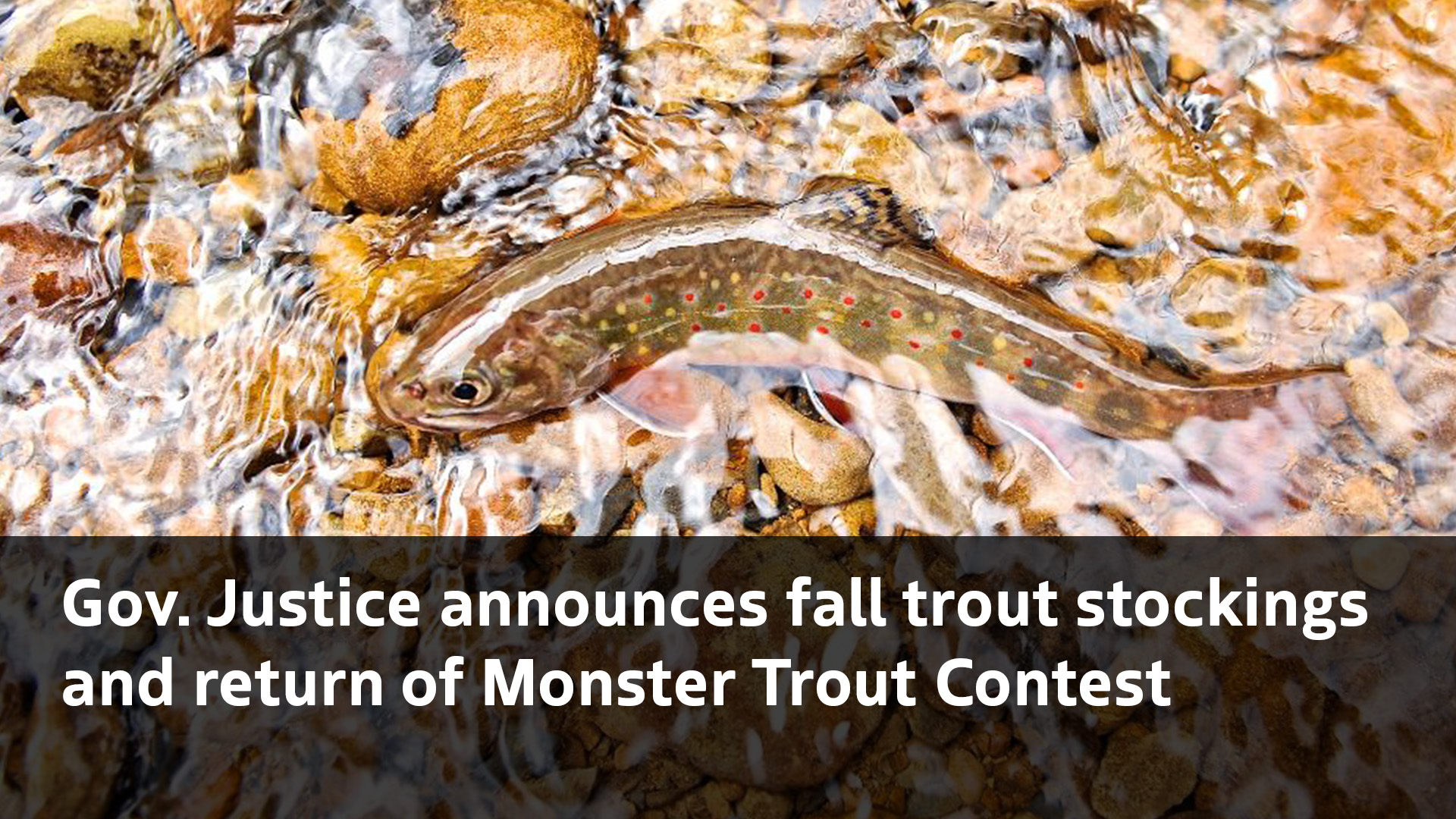 Gov. Justice announces fall trout stockings and return of Monster Trout